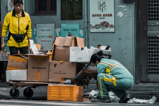 荔枝视频在线观看高清完整版据说www免费，探讨网络视频内容与观众需求的关系